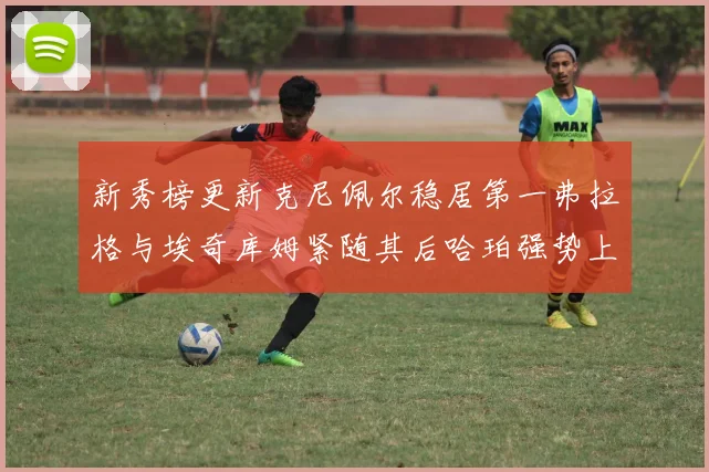 新秀榜更新克尼佩尔稳居第一弗拉格与埃奇库姆紧随其后哈珀强势上升至第四位
