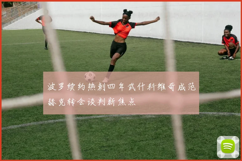 波罗续约热刺四年武什科维奇成范赫克转会谈判新焦点