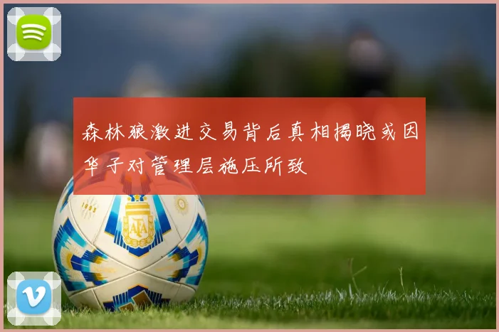 森林狼激进交易背后真相揭晓或因华子对管理层施压所致
